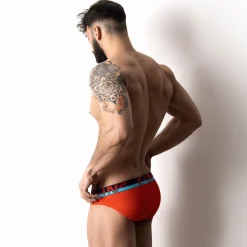 C-THEORY C-theory|Sport Briefs*Sport Brief | Men’s Low Rise Cotton Stretch Underwear