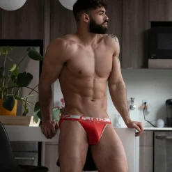 MESH Mesh|Dash Briefs*Dash Brief | Sexy Men’s Underwear with High-Cut Leg