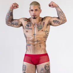 SHEER Sheer|Mid Rise Briefs*Fly Front Brief Rowan Red